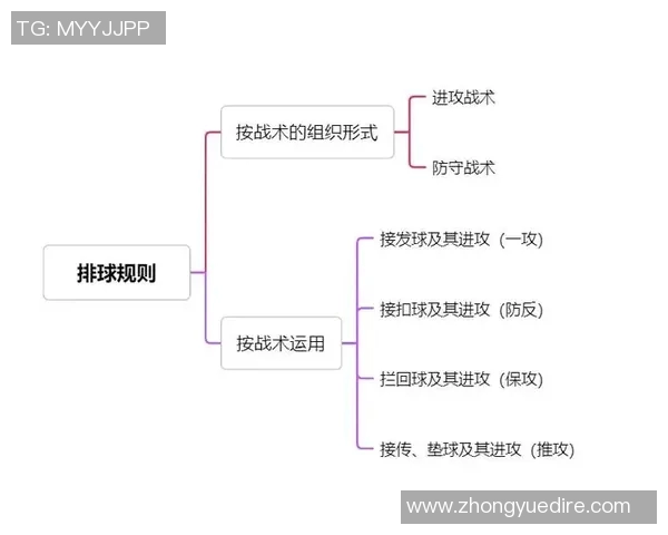 深入分析武汉排球队整体压制打法的战术特点与实施效果
