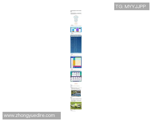 运动最新数据上海网球队灵活性争议引发热议各方观点碰撞解析